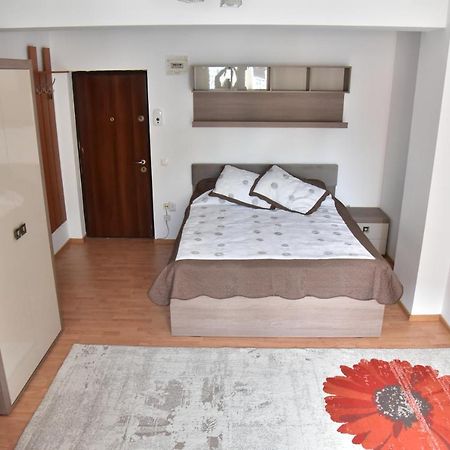 Apartament Frunzei Sibiu Ngoại thất bức ảnh